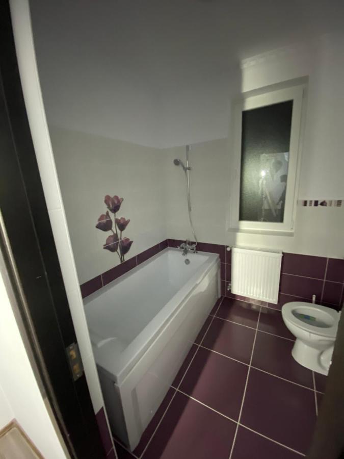 Luxury Apartment Satu Mare Zewnętrze zdjęcie