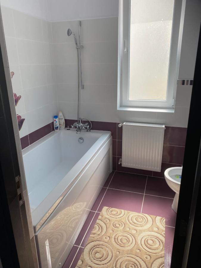 Luxury Apartment Satu Mare Zewnętrze zdjęcie