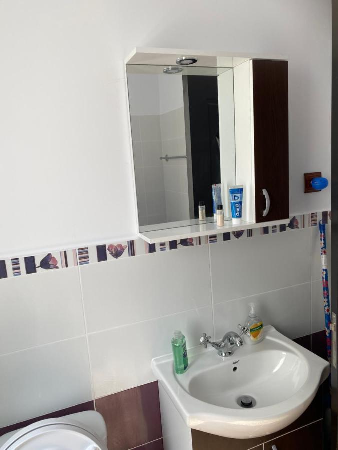 Luxury Apartment Satu Mare Zewnętrze zdjęcie